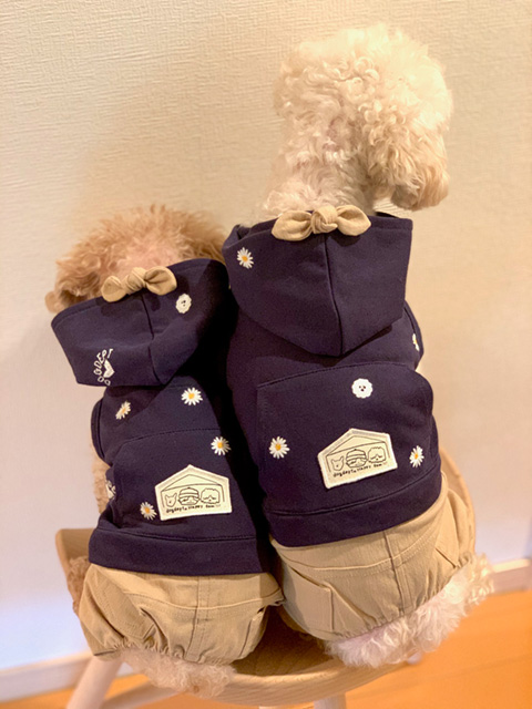 きなこ、あずき