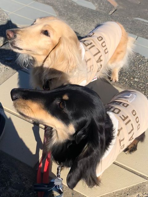 ちゅら、りおん