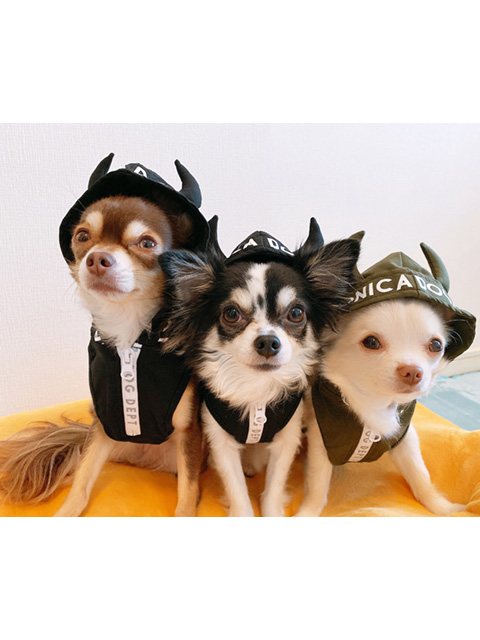 テリー、アロ、ベル