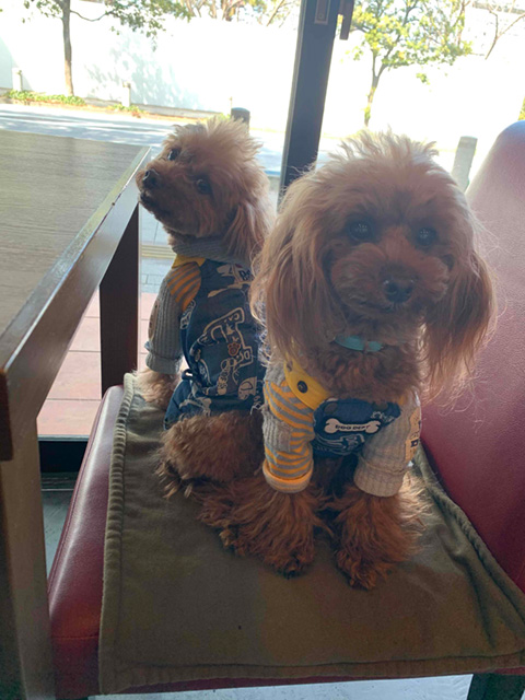 ムート、ホフヌン