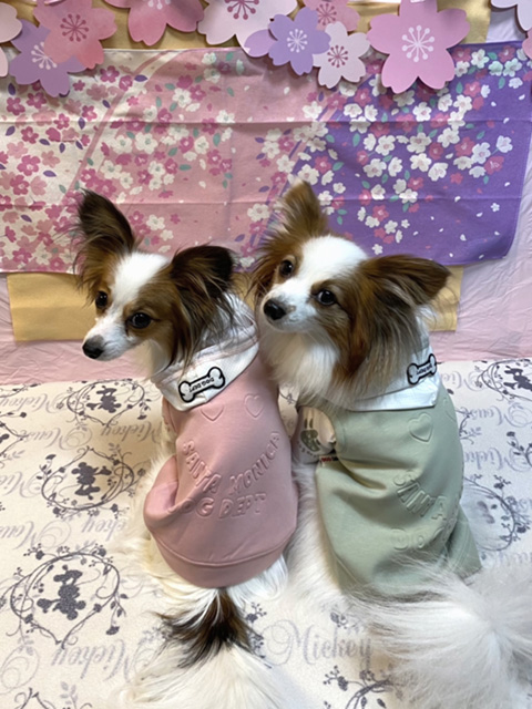 麗音(左)&美翼(右)