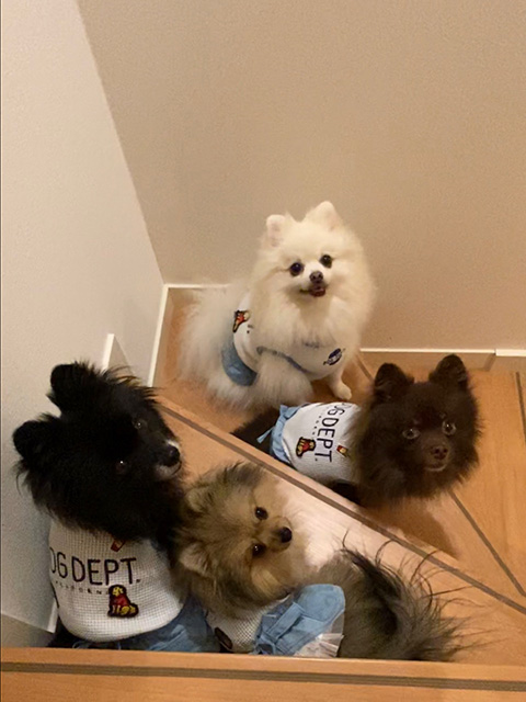 リッキー、アシュレイ、海斗