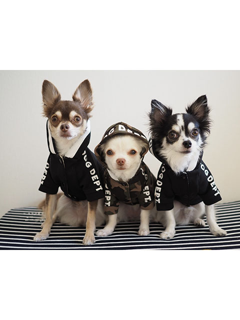 テリー、ベル、アロ