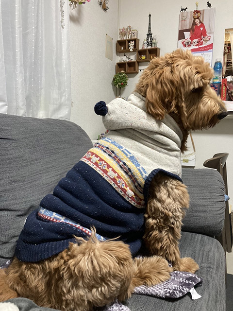 おがわ、ジョニー