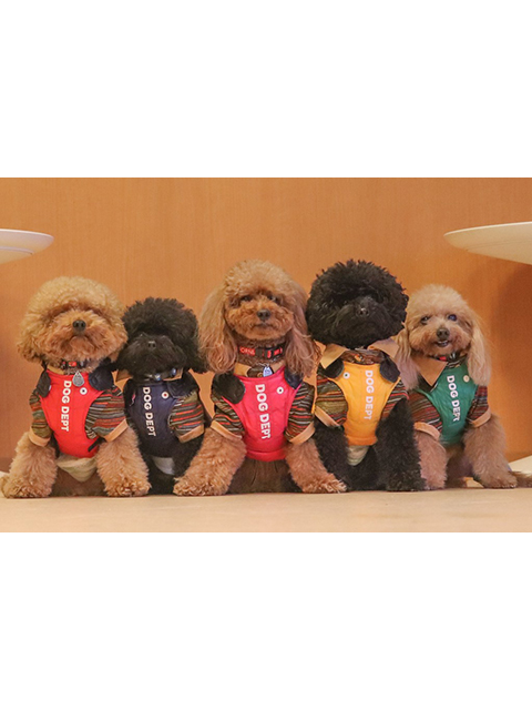 ロッソ、ネロ、ハニー、ブッタ、アトム