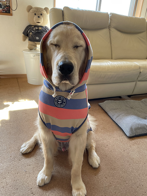 dully(デューリー)