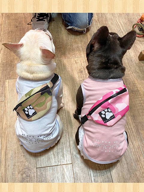 あぶら／てんぱ