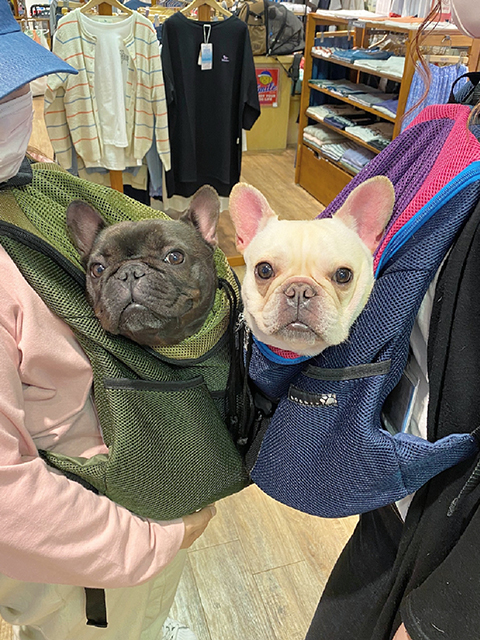 あぶら(左)/てんぱ(右)