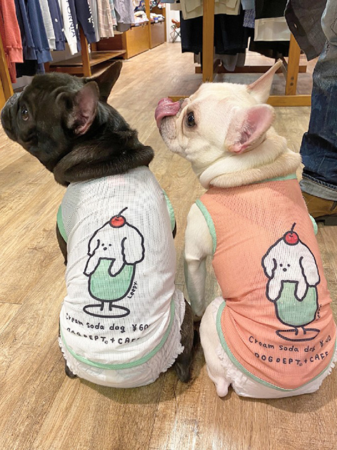 あぶら(左)/てんぱ(右)