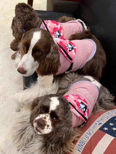 クレア、アロア、サラ