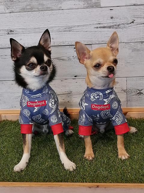 楓彩(かい)、梨玖(りく)