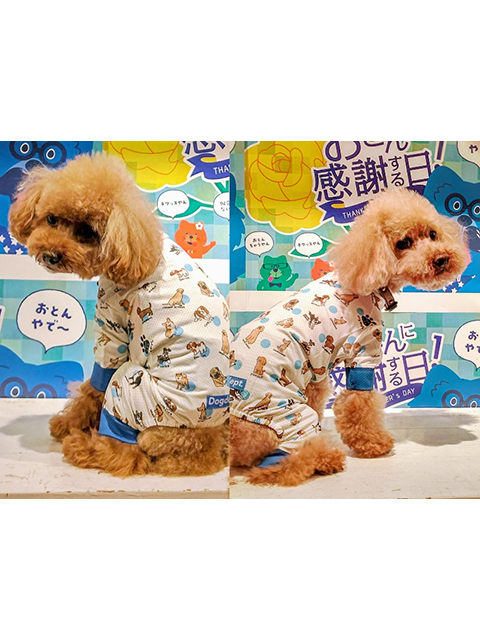 マカロン、タルト