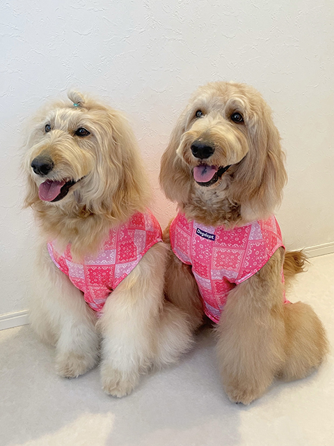 カノア、クレア