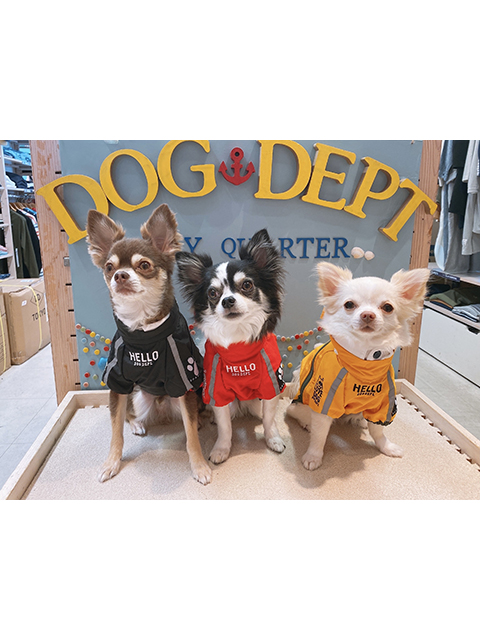 テリー、アロ、ベル