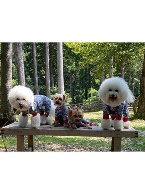 クレム、モコ、ロコ、ムック