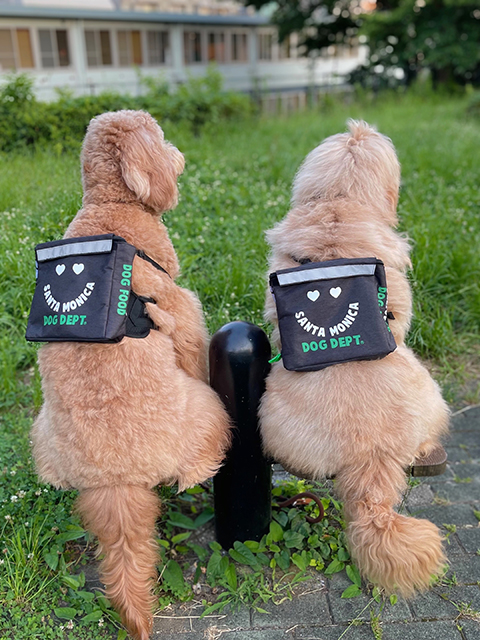 クレア、カノア