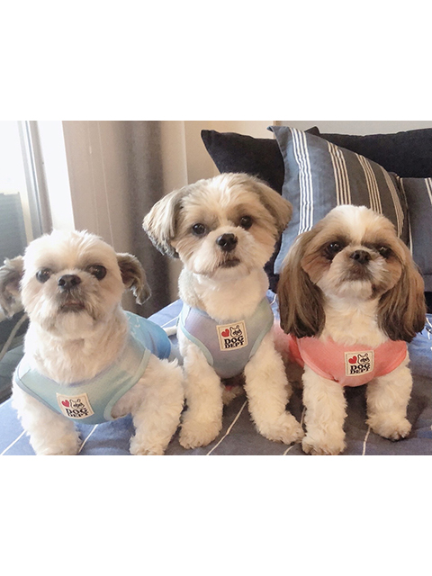 Fuu、Popotan、Pippi