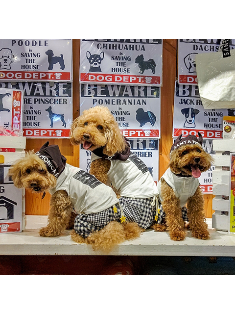 タルト、クッキー、マカロン