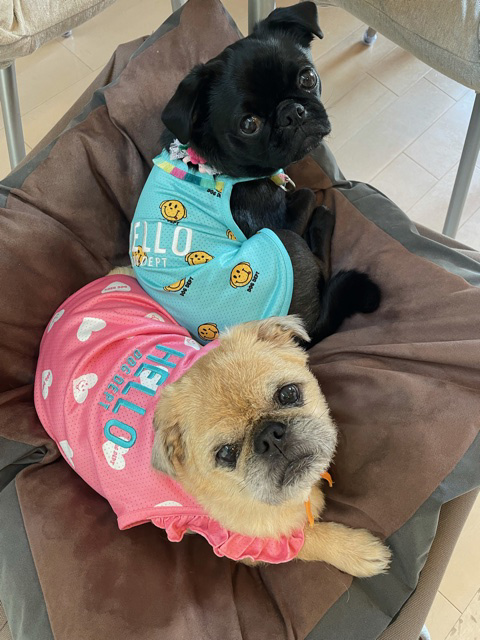 あずき＆もなか