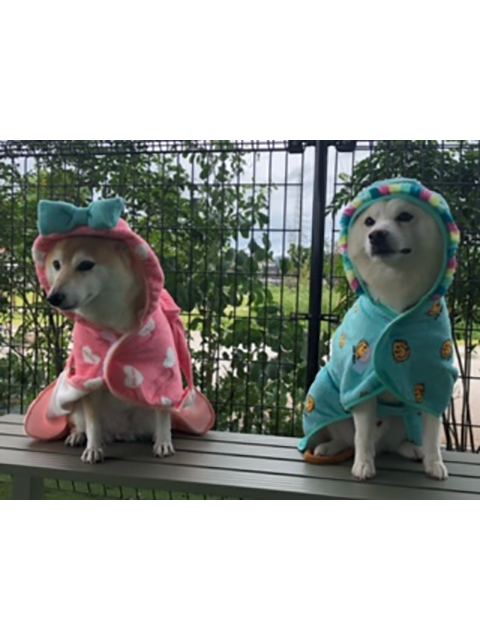 サム、チャーミー