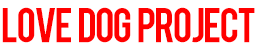 LOVE DOG PROJECT