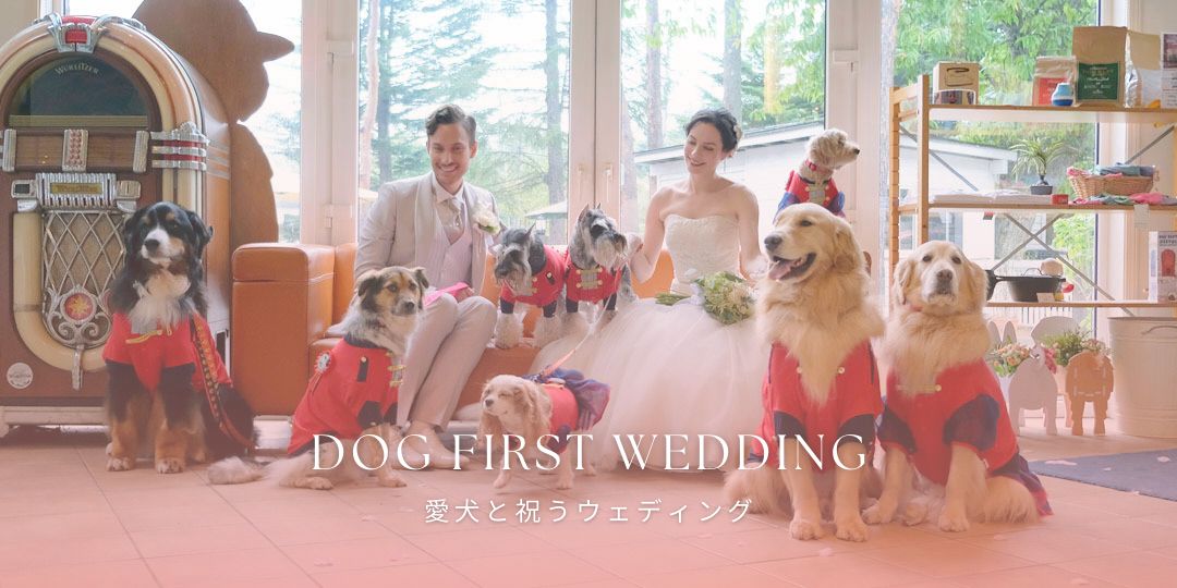 ドッグデプト DOG DEPT 愛犬も参加できるウェデイング、結婚式